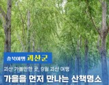 Autumn Walks at Geosan Mun-gwang Reservoir