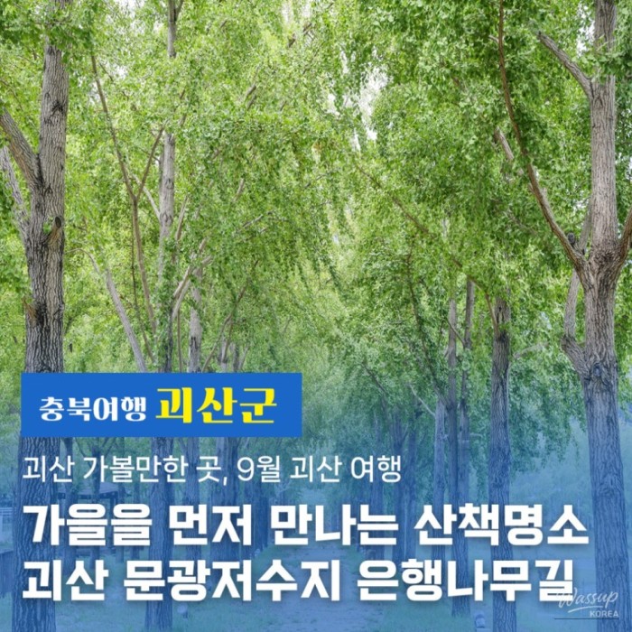 Autumn Walks at Geosan Mun-gwang Reservoir