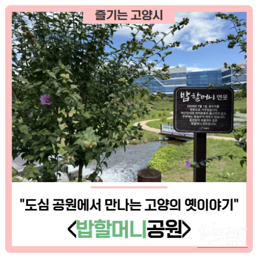 The Story of Grandma Bob in Goyang: A Hidden Gem in the City Park_01