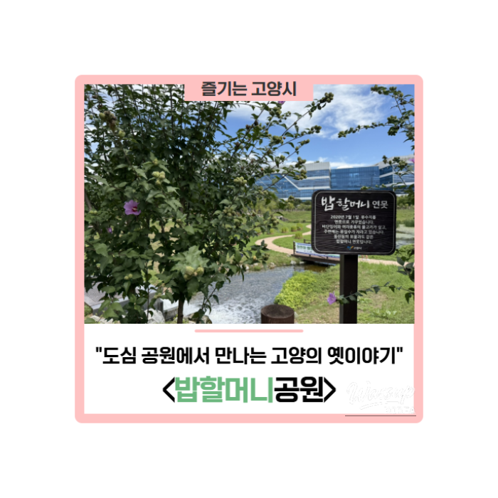 The Story of Grandma Bob in Goyang: A Hidden Gem in the City Park