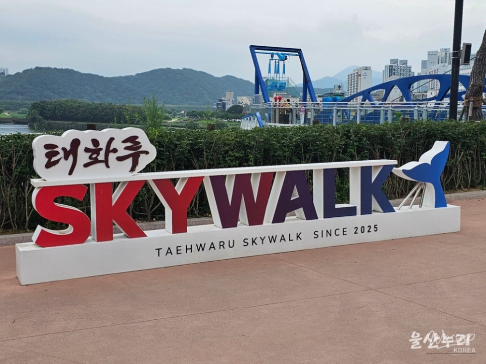 Exploring Ulsan's Taehwa Market and Skywalk_10