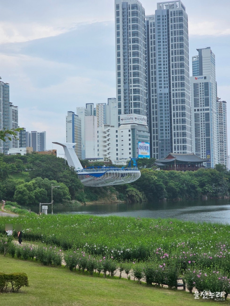 Exploring Ulsan's Taehwa Market and Skywalk_11