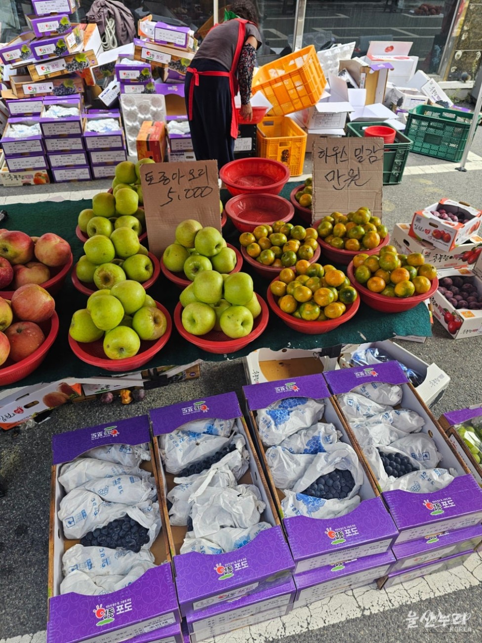 Exploring Ulsan's Taehwa Market and Skywalk_03