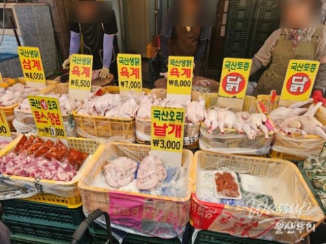 Exploring Ulsan's Taehwa Market and Skywalk_07