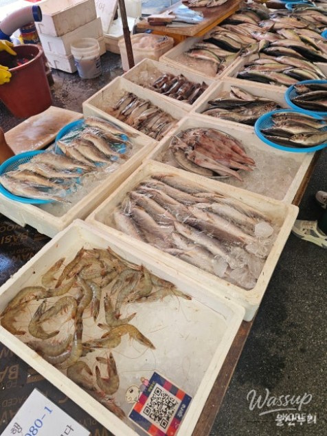 Exploring Ulsan's Taehwa Market and Skywalk_05