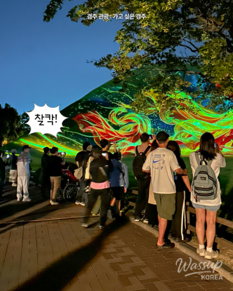 Discover the Night Wonders of Gyeongju_05
