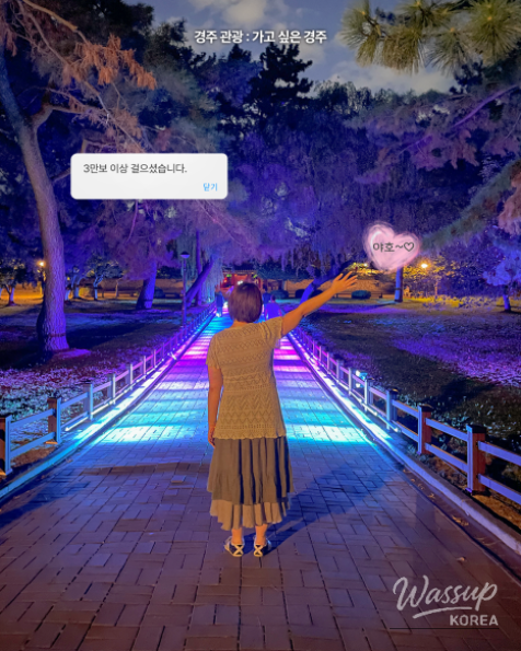 Discover the Night Wonders of Gyeongju_04