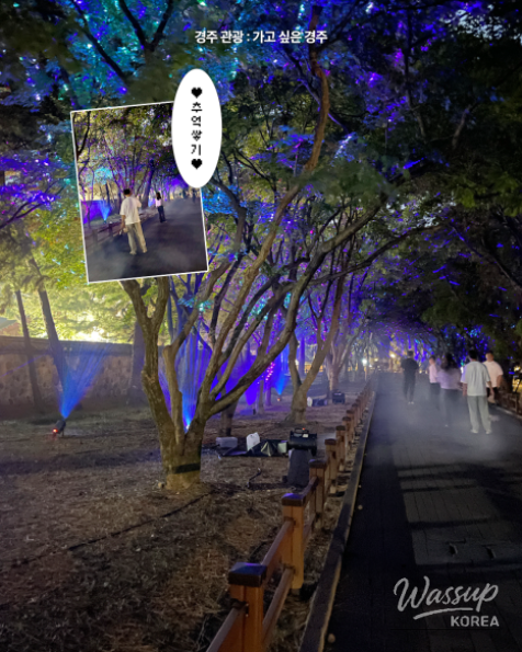 Discover the Night Wonders of Gyeongju_03