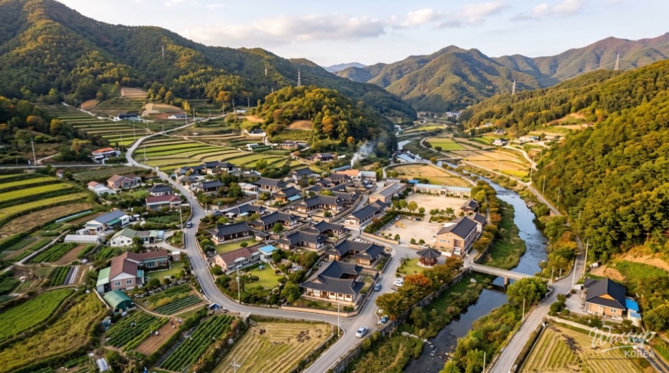 Gyeongbuk 365 Living Zone: Ensuring Essential Services Year-Round_01
