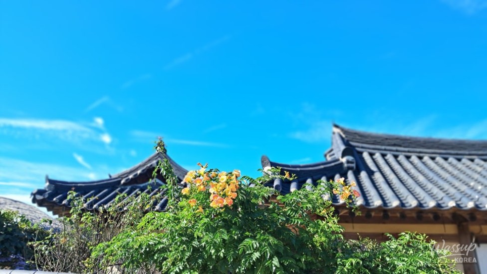 Exploring Andong Hahoe Village: A Cultural Gem_02