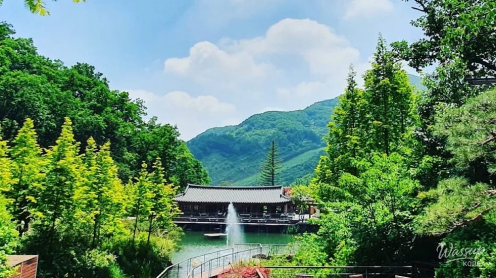 Discovering the Serenity of Hwadam Forest in August_03