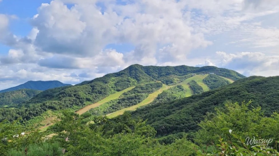Discovering the Serenity of Hwadam Forest in August_01