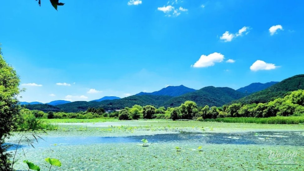Refreshing Summer Getaway at the Water Garden_02