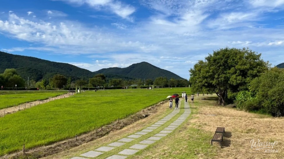 Refreshing Summer Getaway at the Water Garden_03