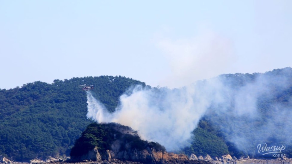 Discovering Deokjeokdo: A Hidden Gem for Summer Getaways_04