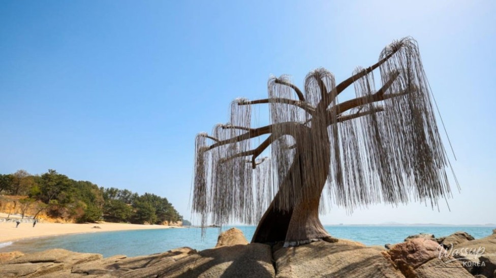 Discover the Charm of Sinshimodo: A Perfect Summer Getaway_02