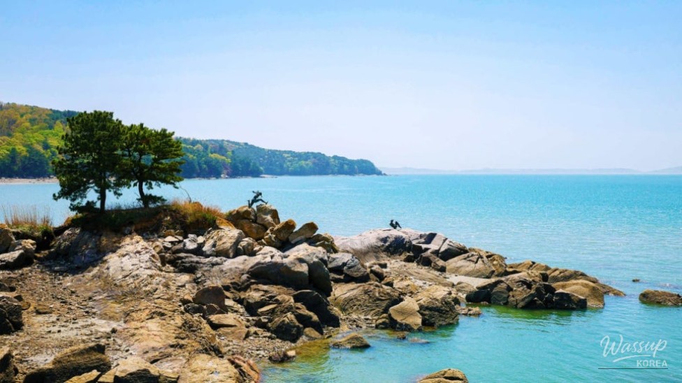 Discover the Charm of Sinshimodo: A Perfect Summer Getaway_01