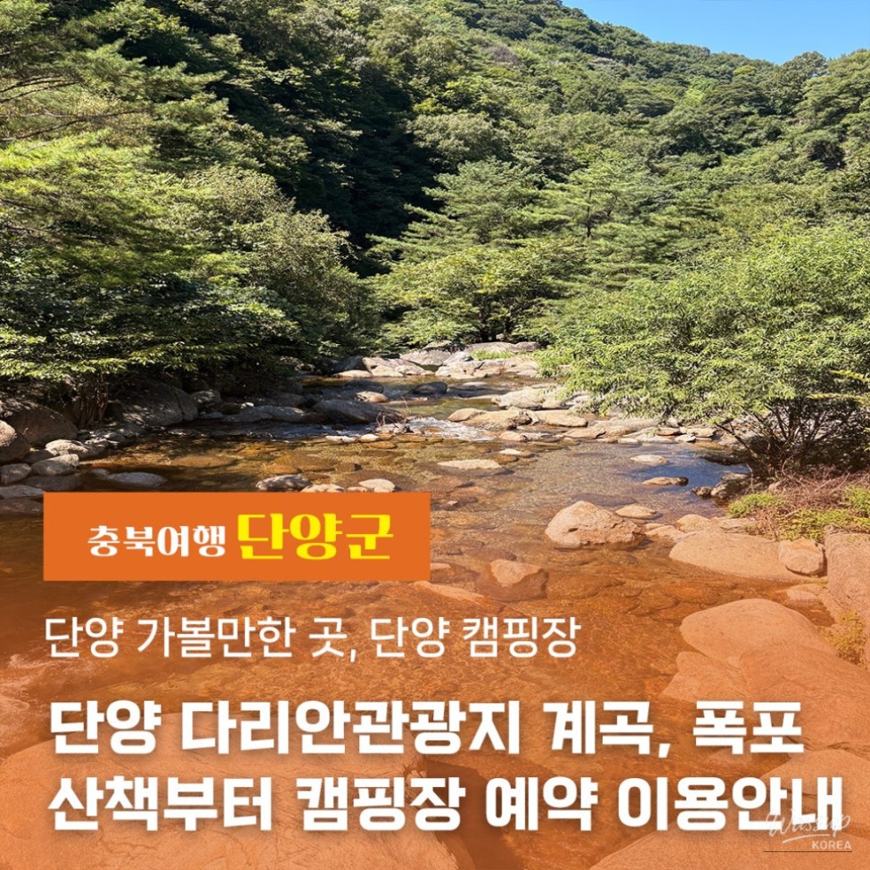 Exploring the Beauty of Dari-an Tourist Area in Danyang, South Korea_01