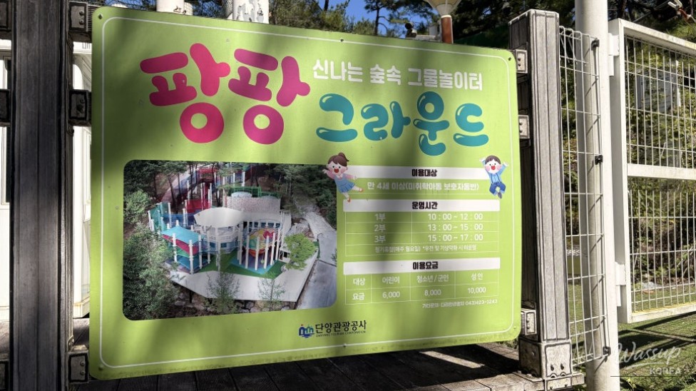 Exploring the Beauty of Dari-an Tourist Area in Danyang, South Korea_03