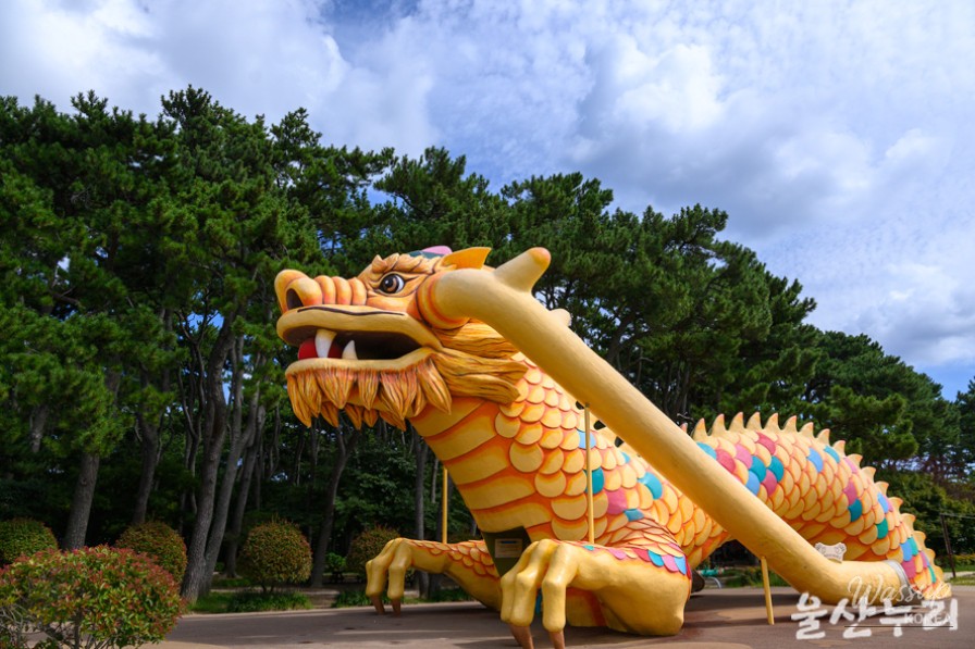 Exploring the Beauty of Daewangam Park in September_03