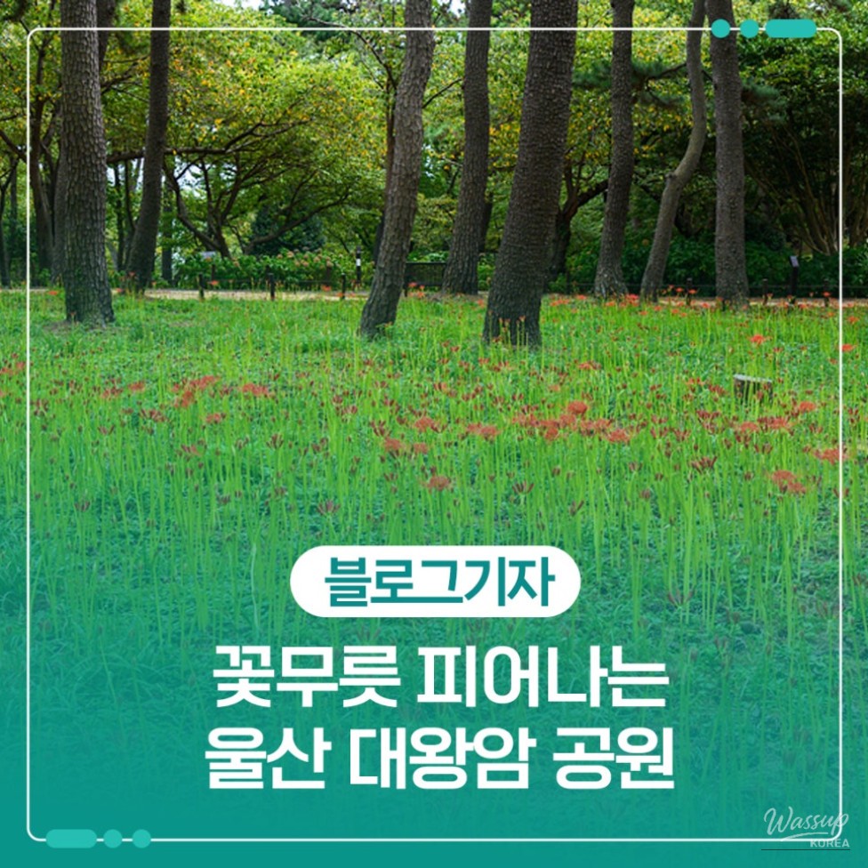 Exploring the Beauty of Daewangam Park in September_01