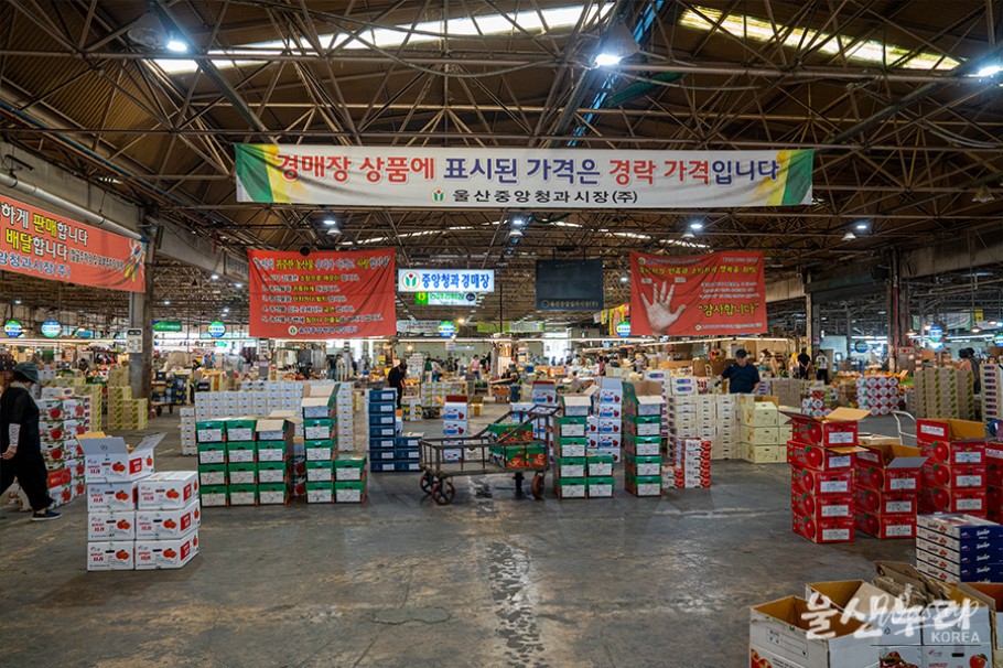 Exploring the Vibrant Ulsan Agricultural and Fishery Wholesale Market_03