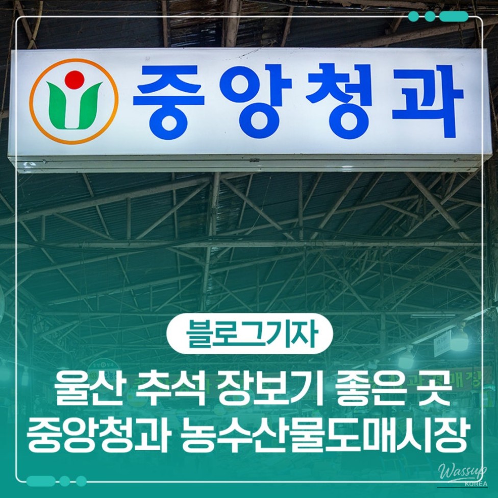 Exploring the Vibrant Ulsan Agricultural and Fishery Wholesale Market_01