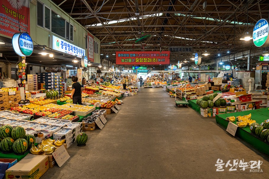 Exploring the Vibrant Ulsan Agricultural and Fishery Wholesale Market_04