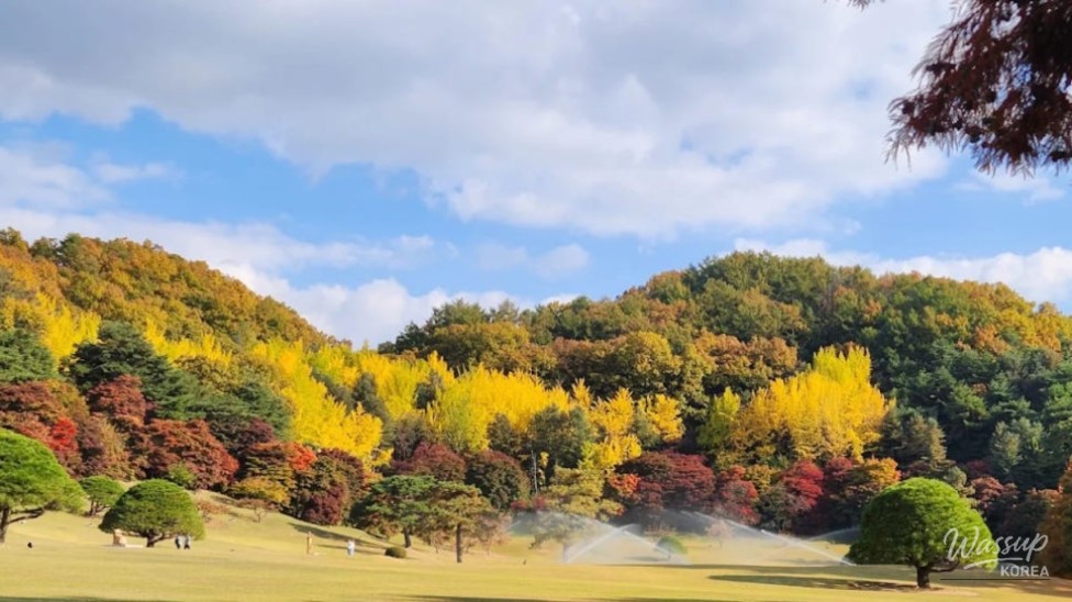 Exploring Cheongnamdae: A Refreshing Retreat in August_01