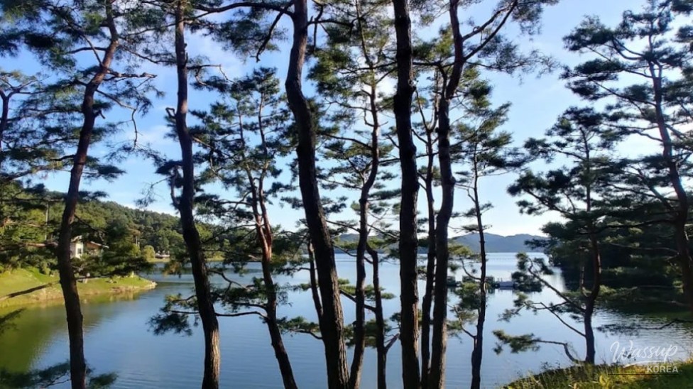 Exploring Cheongnamdae: A Refreshing Retreat in August_04