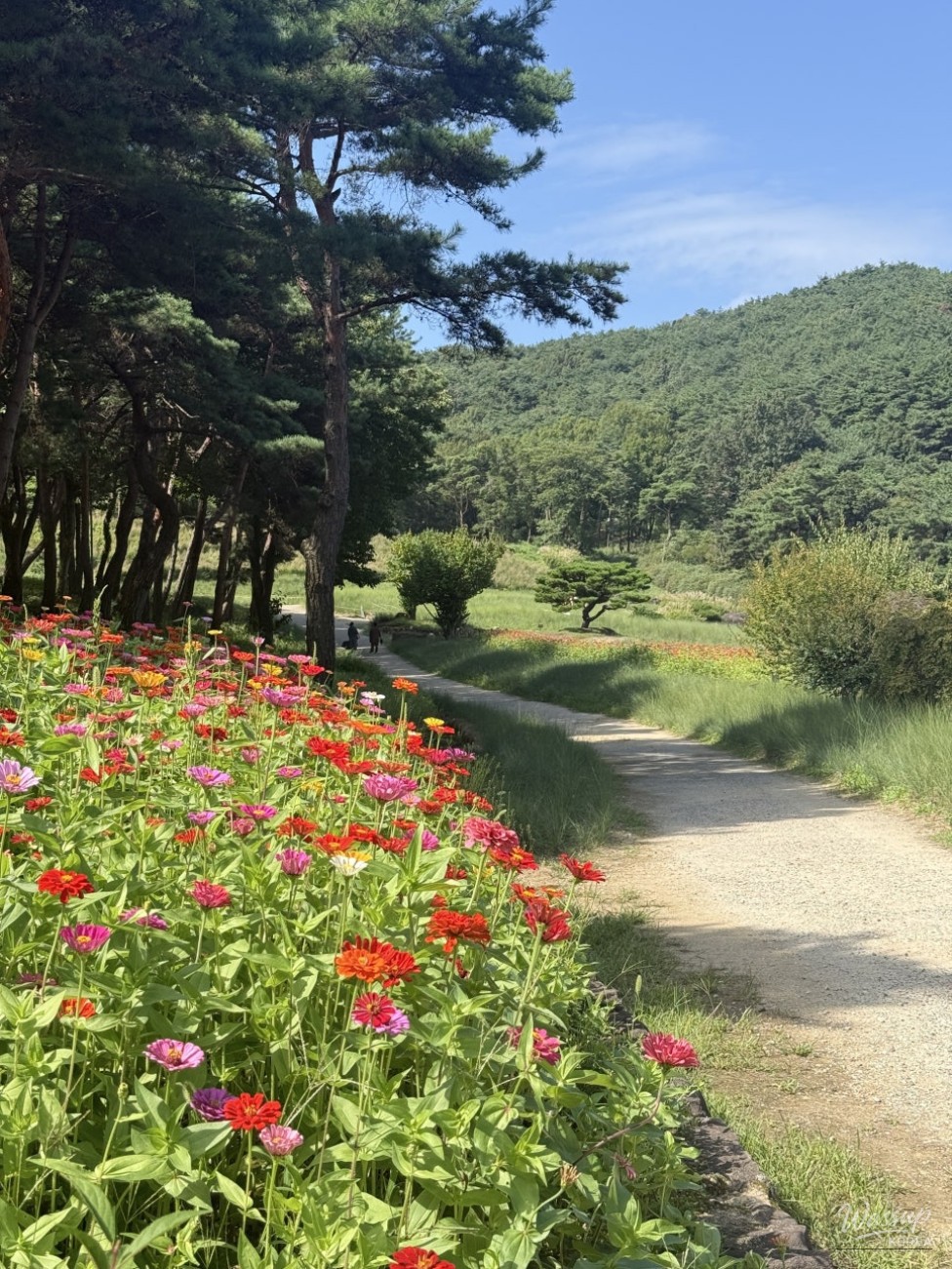 A Stroll Through Gasansupia in Chilgok, Gyeongbuk_04