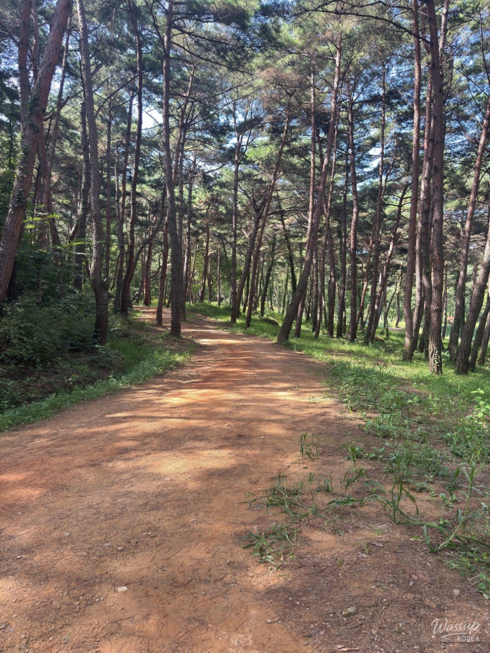 A Stroll Through Gasansupia in Chilgok, Gyeongbuk_05