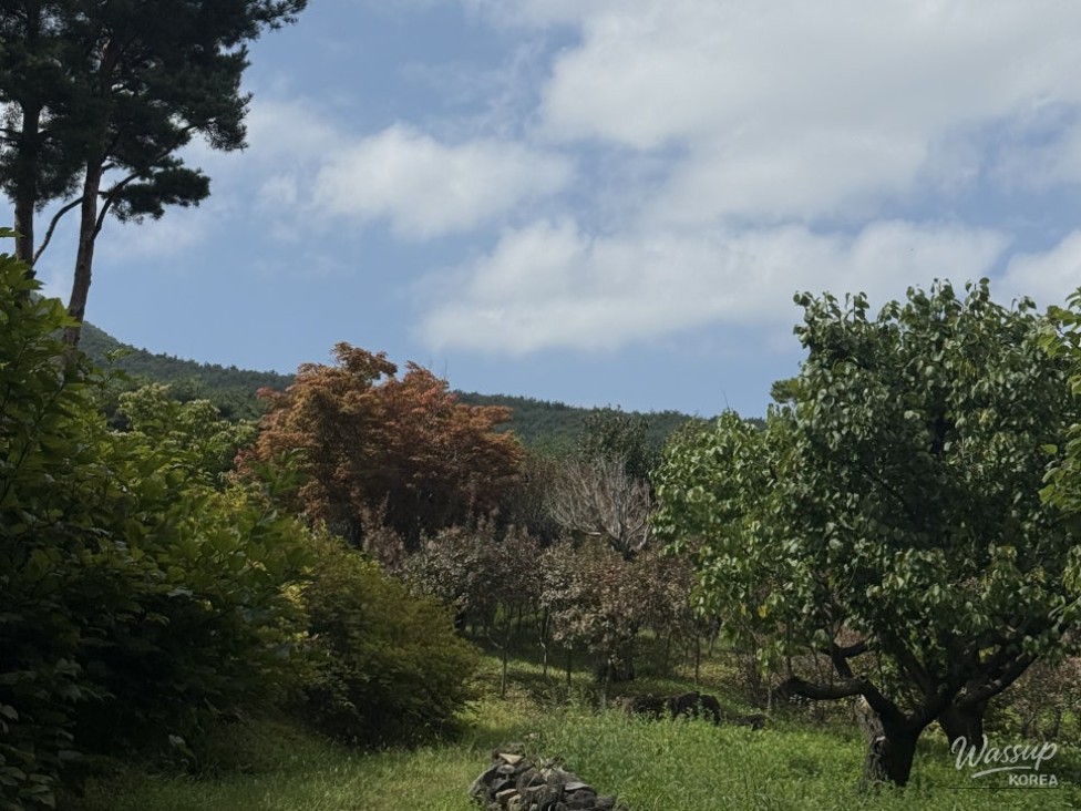 A Stroll Through Gasansupia in Chilgok, Gyeongbuk_02