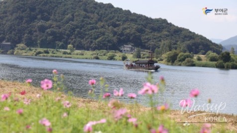Autumn Beauty at Buyeo Gudrae_11