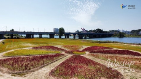 Autumn Beauty at Buyeo Gudrae_04