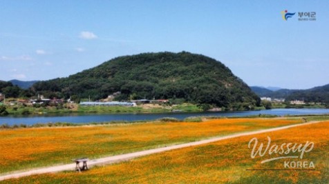 Autumn Beauty at Buyeo Gudrae_03