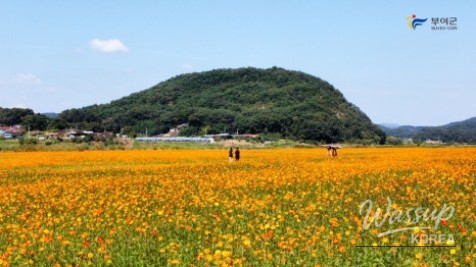Autumn Beauty at Buyeo Gudrae_09