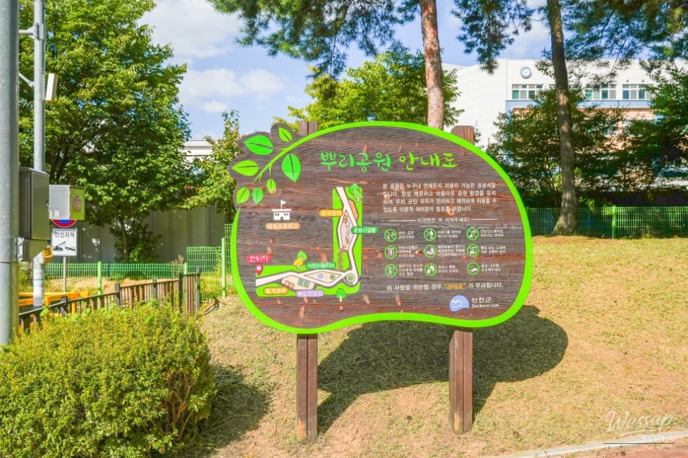 Exploring Jincheon Root Park: A Perfect Family Retreat_03