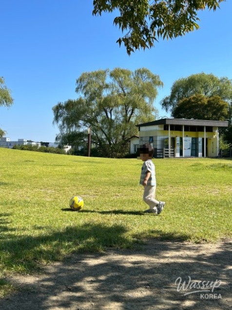 A Perfect Autumn Picnic at Paju Publishing Complex Park_08