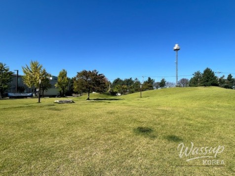 A Perfect Autumn Picnic at Paju Publishing Complex Park_04