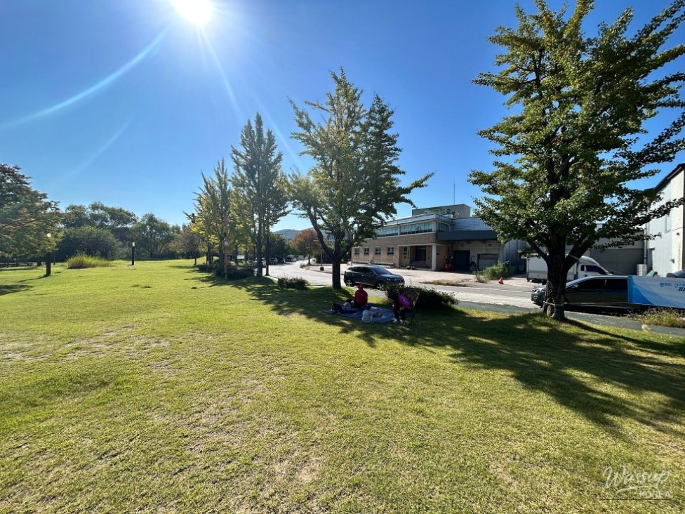 A Perfect Autumn Picnic at Paju Publishing Complex Park_02