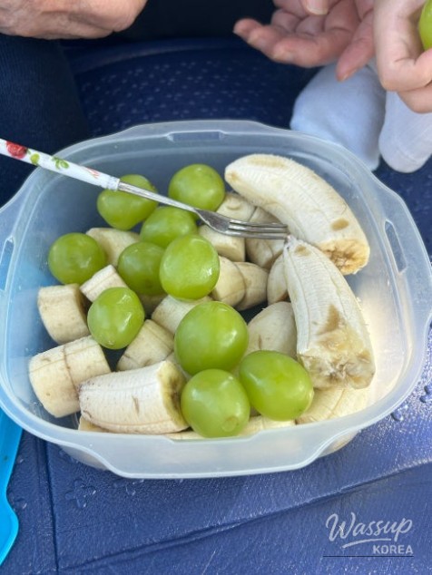 A Perfect Autumn Picnic at Paju Publishing Complex Park_07