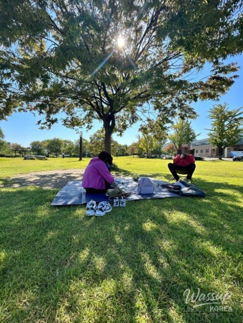 A Perfect Autumn Picnic at Paju Publishing Complex Park_05