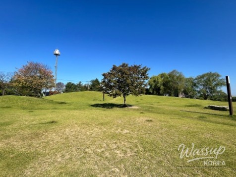 A Perfect Autumn Picnic at Paju Publishing Complex Park_03