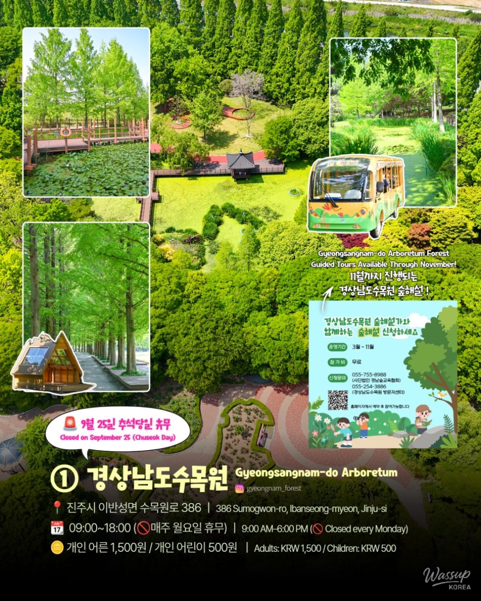 Explore Jinju: 15 Must-Visit Places for the 2026 Chuseok Holiday_02