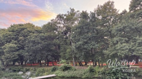 Discover the Hidden Gem of Gyeongnam: Galkye Forest_16
