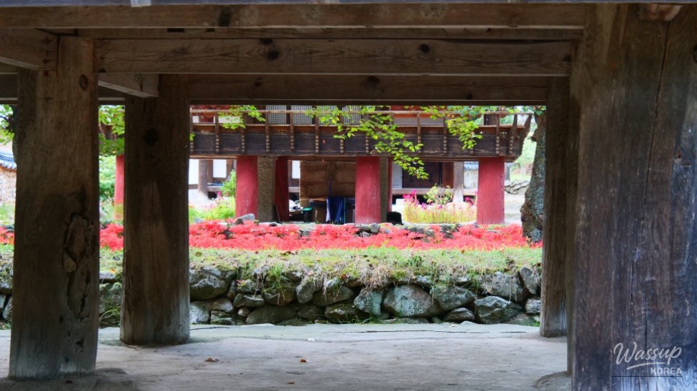 Discover the Hidden Gem of Gyeongnam: Galkye Forest_15