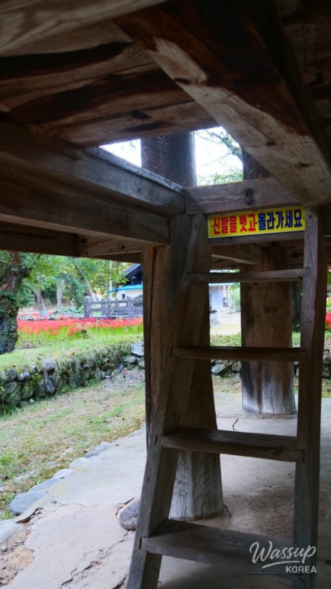 Discover the Hidden Gem of Gyeongnam: Galkye Forest_14