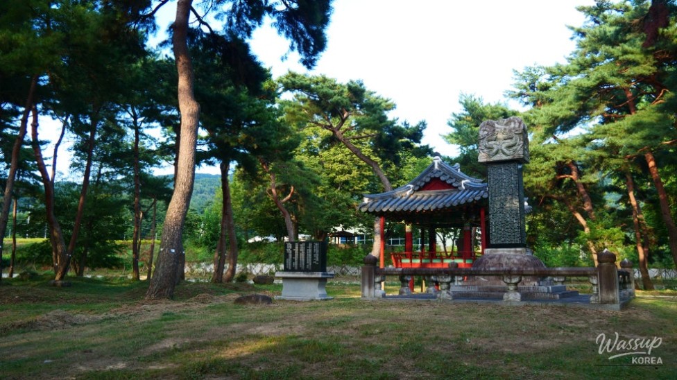 Discover the Hidden Gem of Gyeongnam: Galkye Forest_04