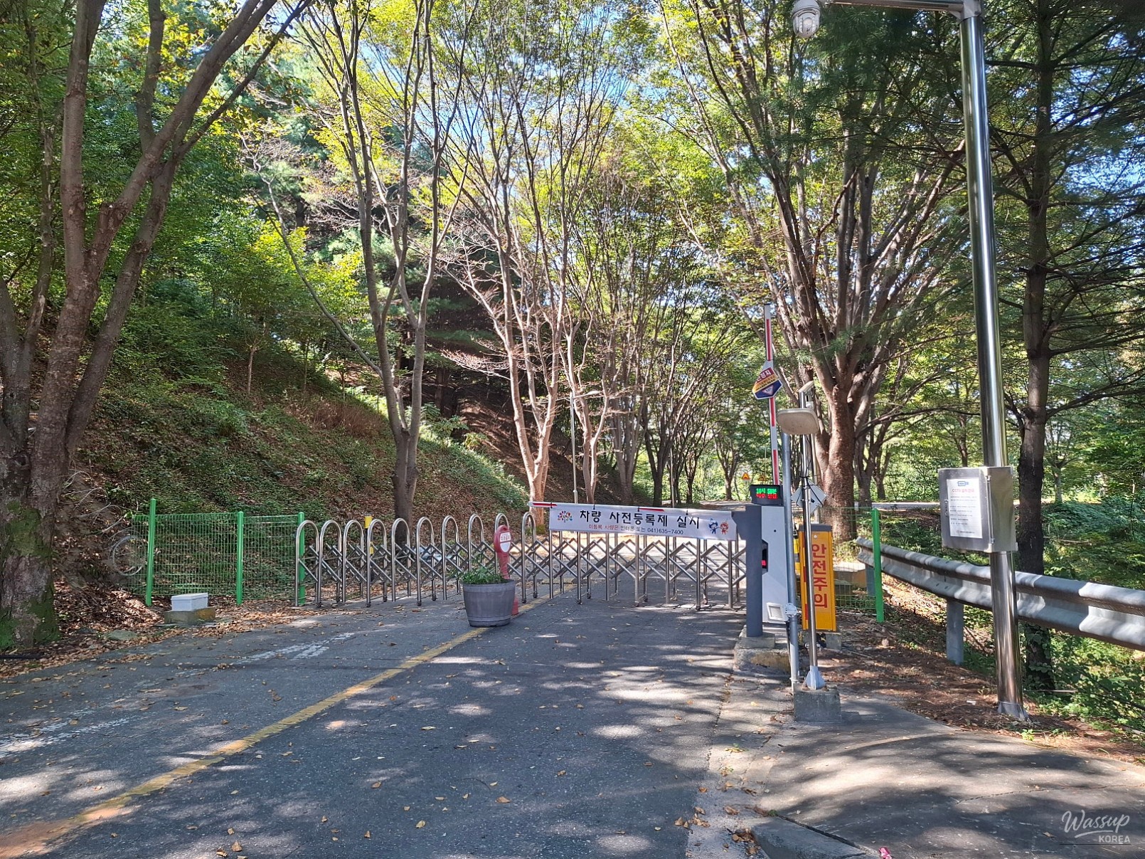 Exciting News: The Reopening of Geumgang Arboretum_03